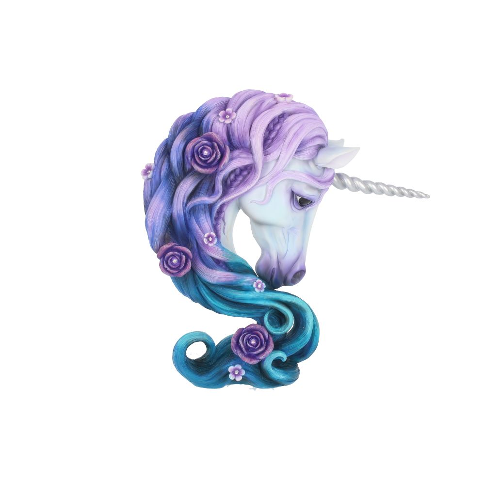 Product NM0102 360 image