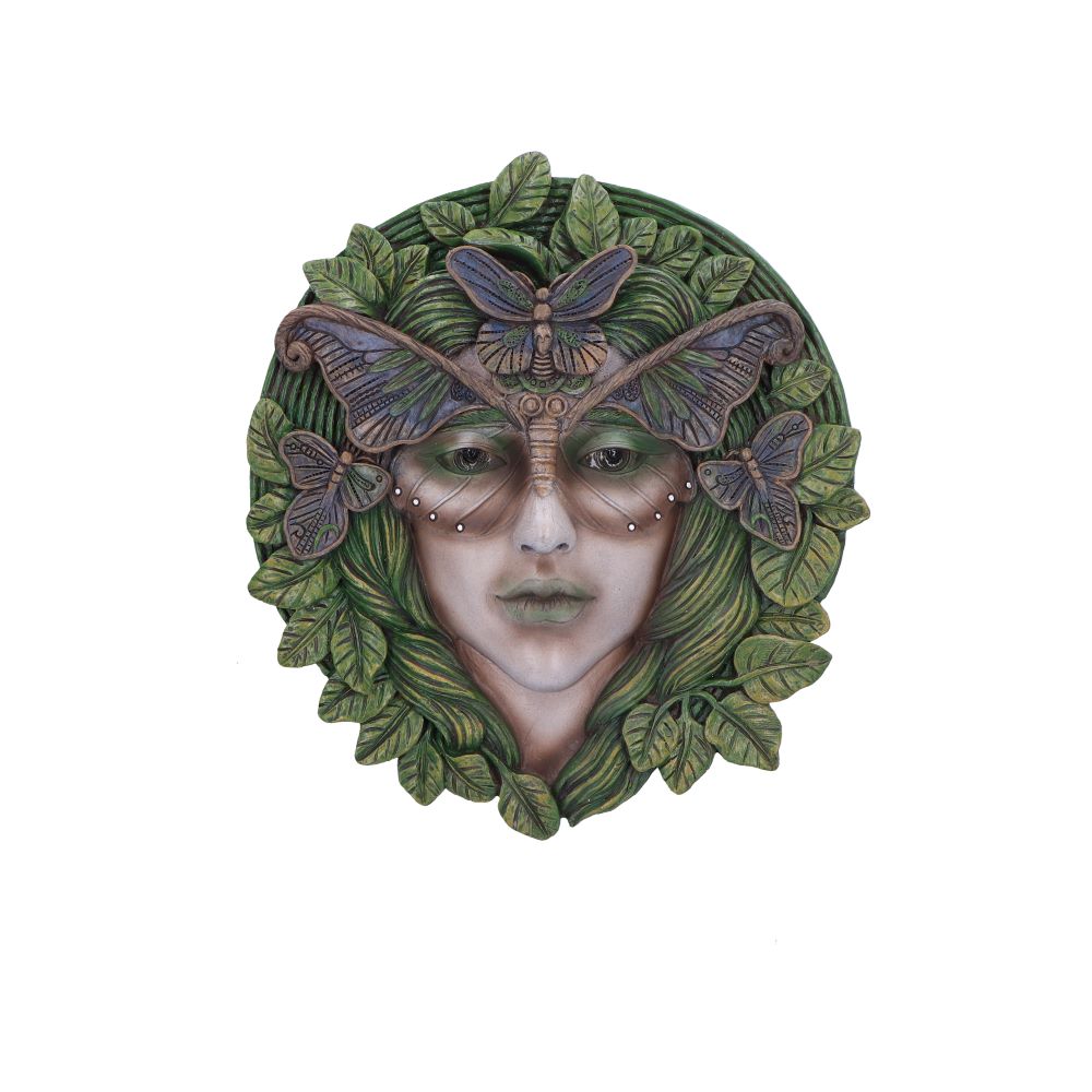 Product NM0230 360 image