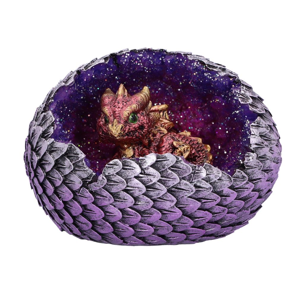 Product NM0242 360 image