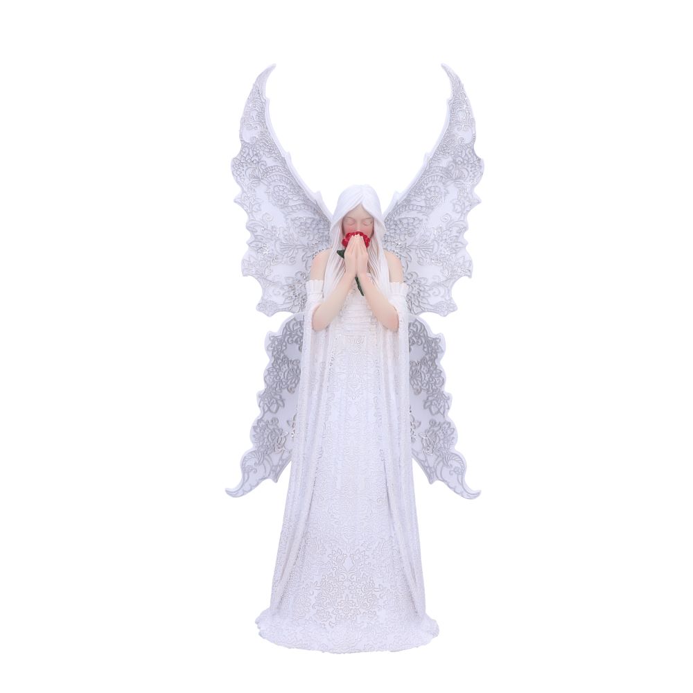 Product NM0267 360 image