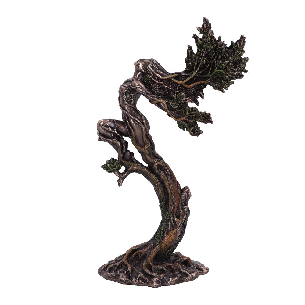 Product NM0293 360 image