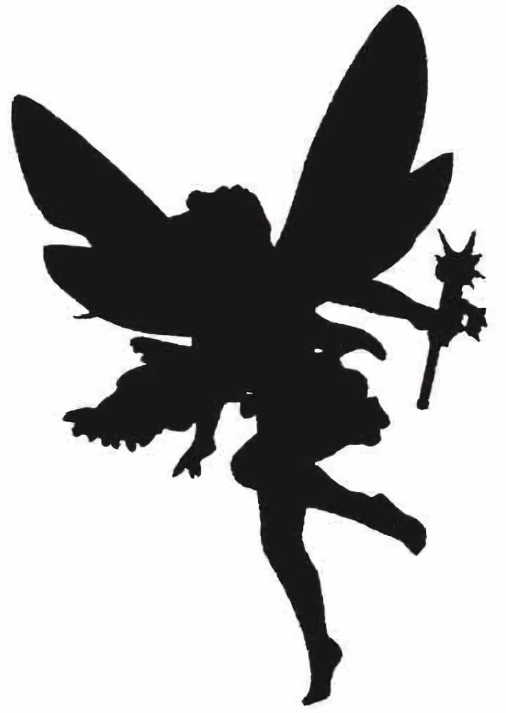 Product AS0003 image