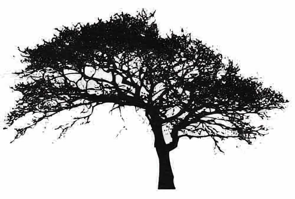 Product AS0029 image