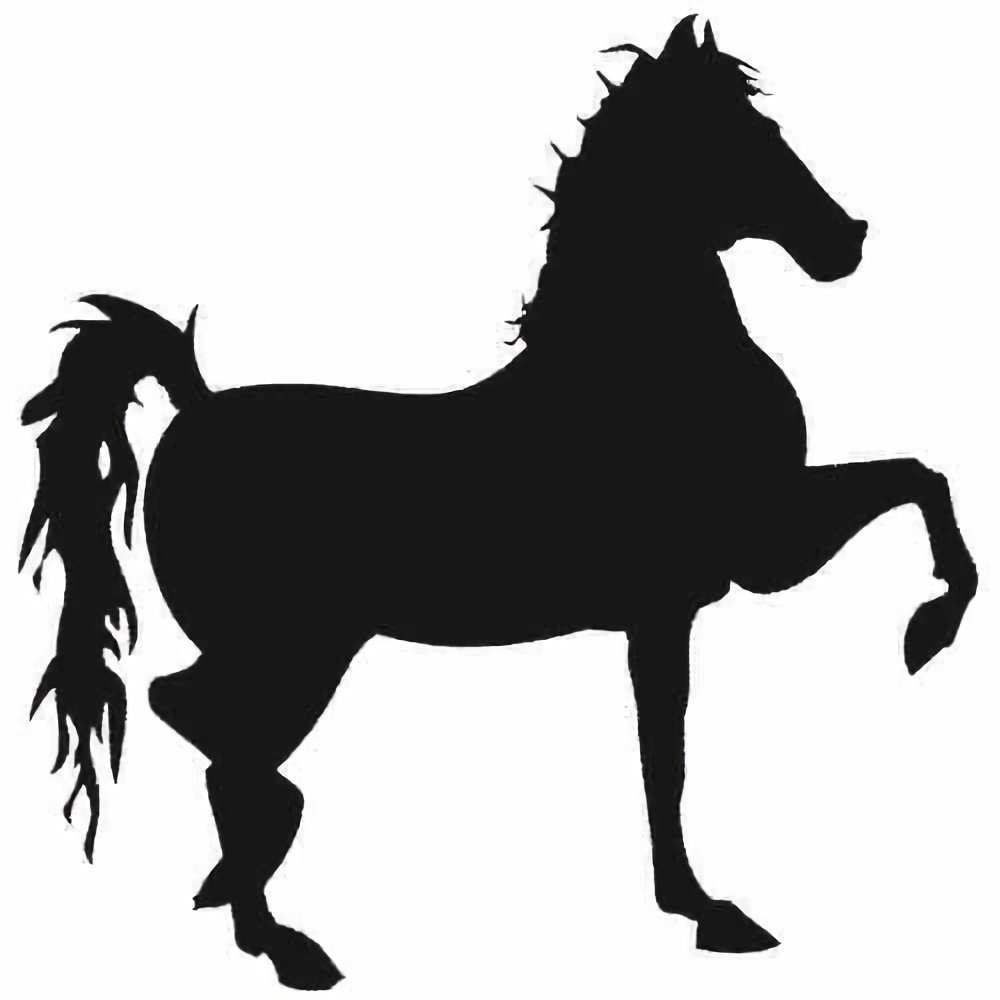 Product AS0032 image