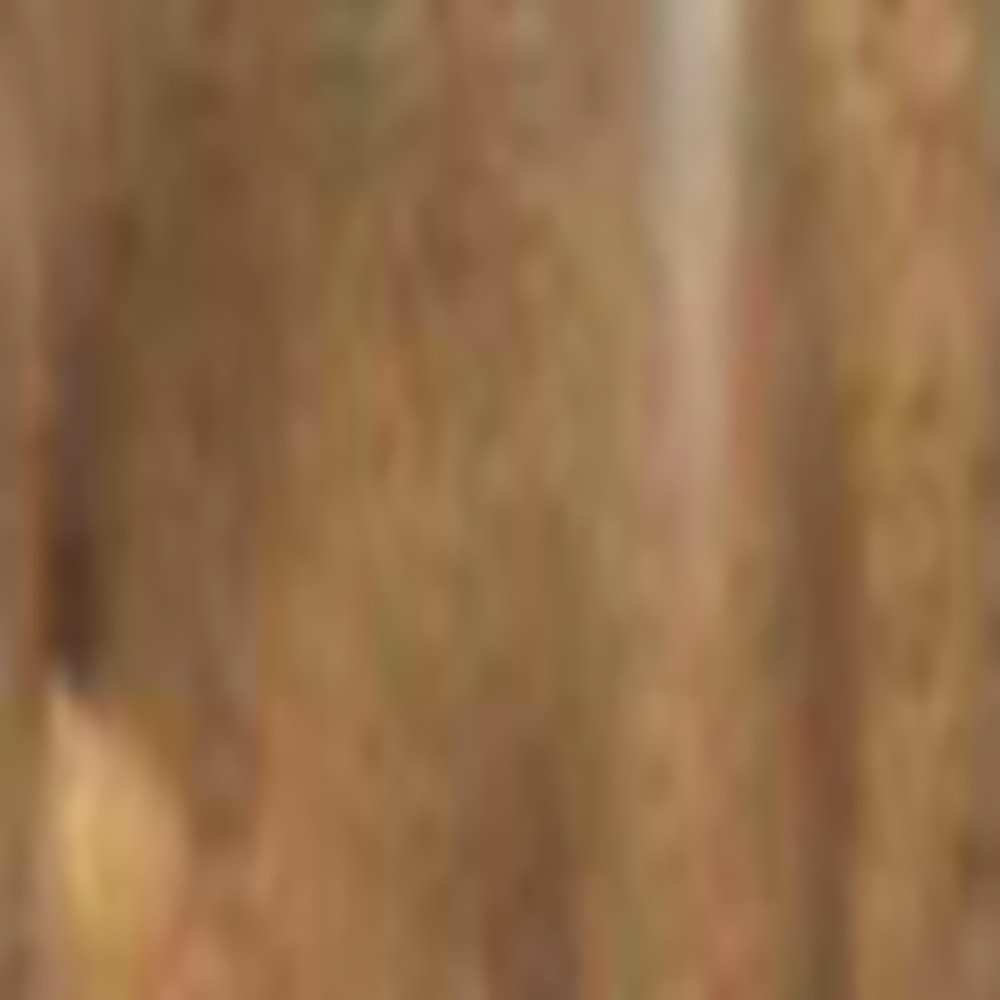 Product AW0025 image