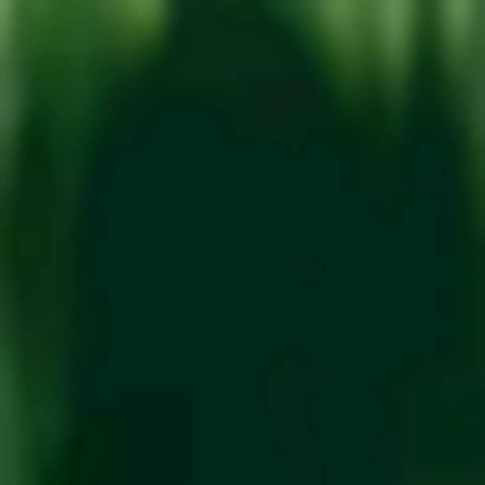 Product AW0045 image