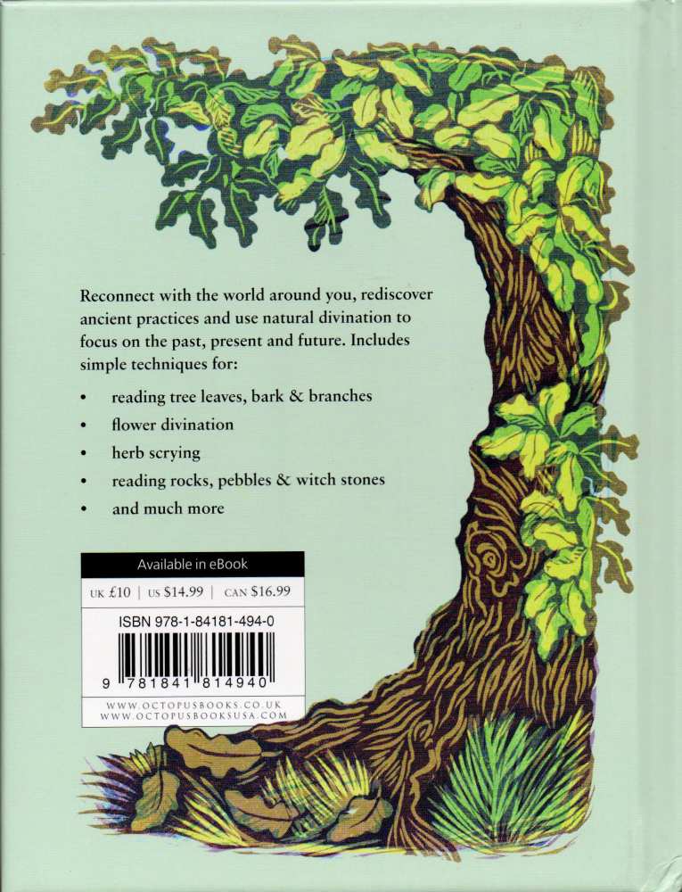 Product BK487 image