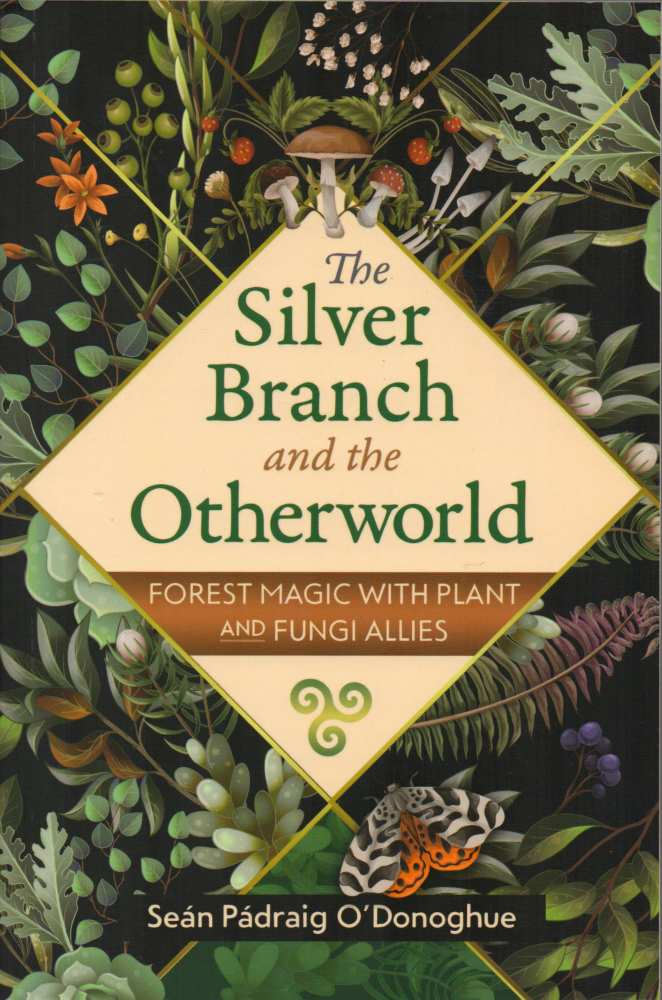 Product BK0498 image