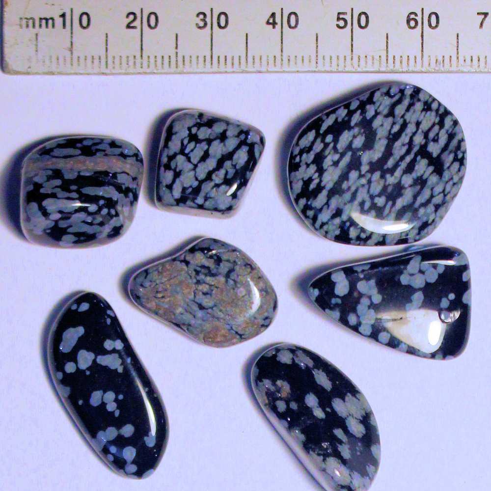 Product MS050-1 image