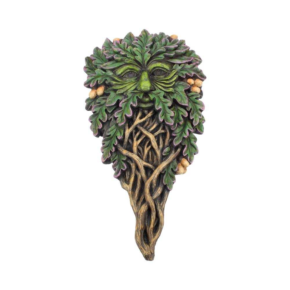 Product NM0022 image