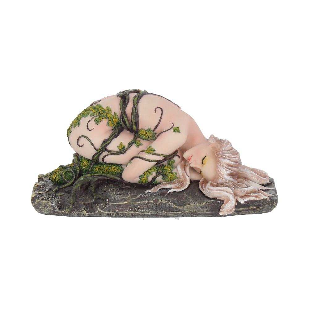Product NM0189 image