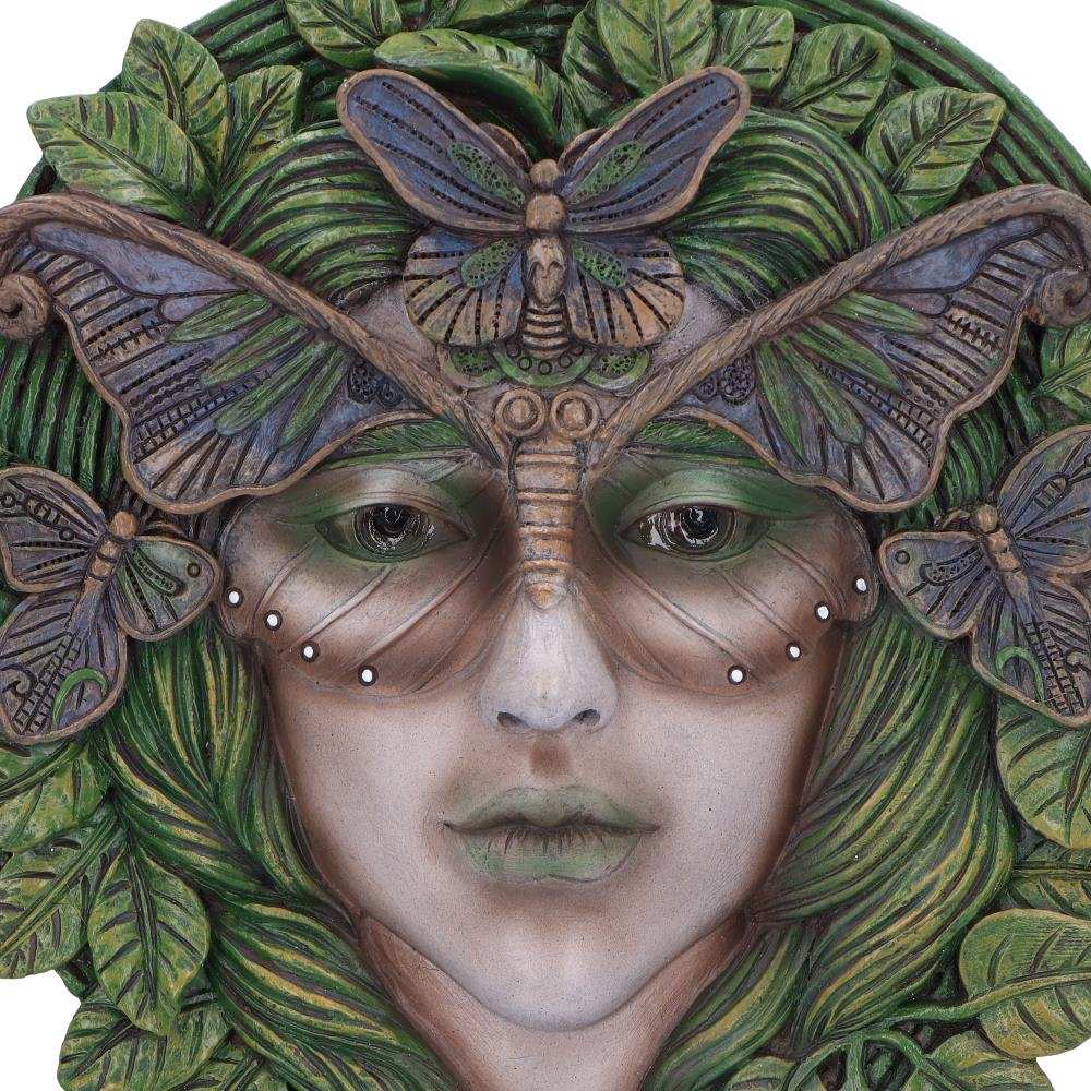 Product NM0230 image