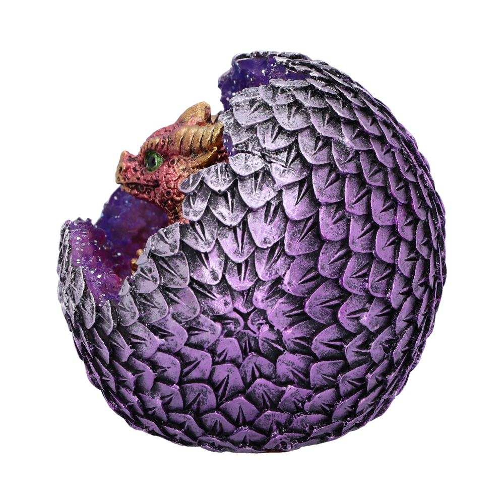 Product NM0242 image