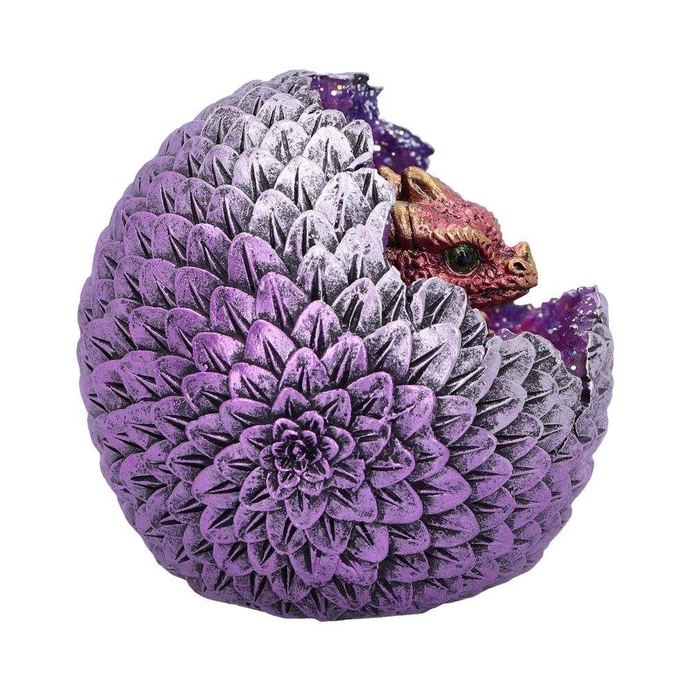 Product NM0242 image