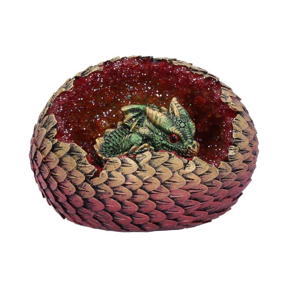Product NM0245 image
