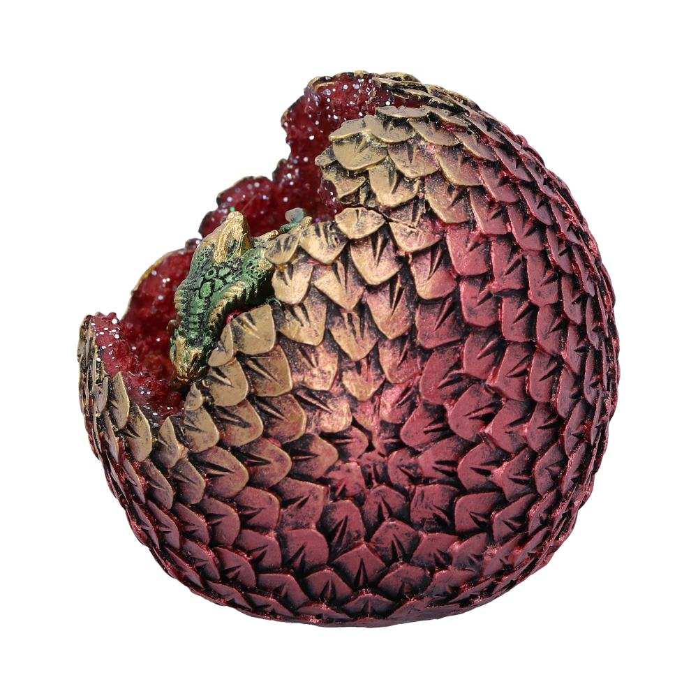 Product NM0245 image
