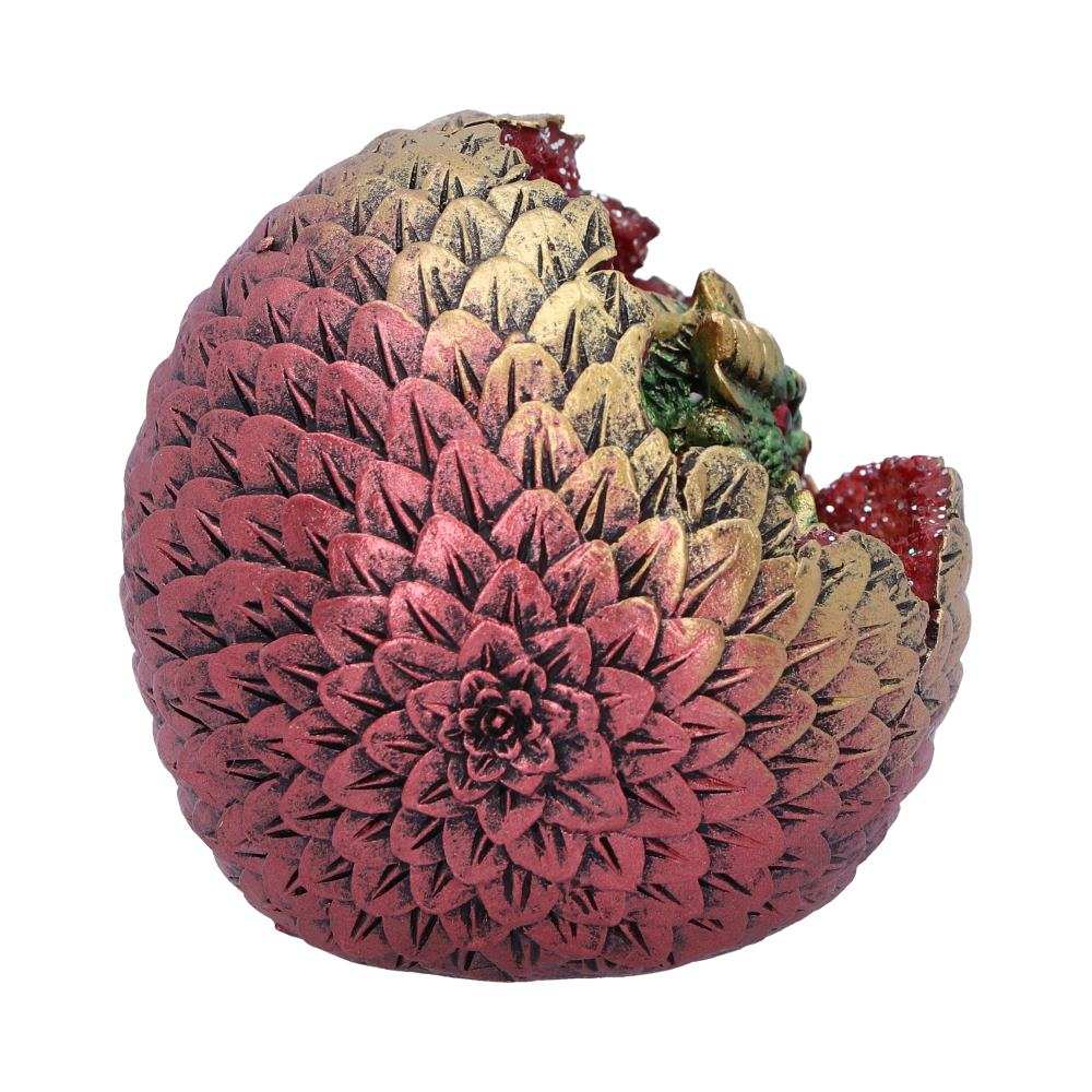 Product NM0245 image