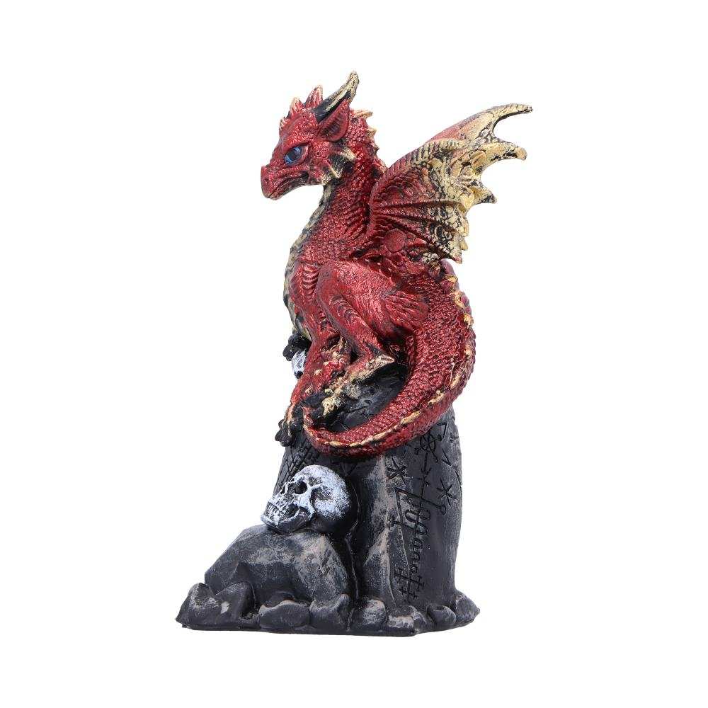 Product NM0253 image