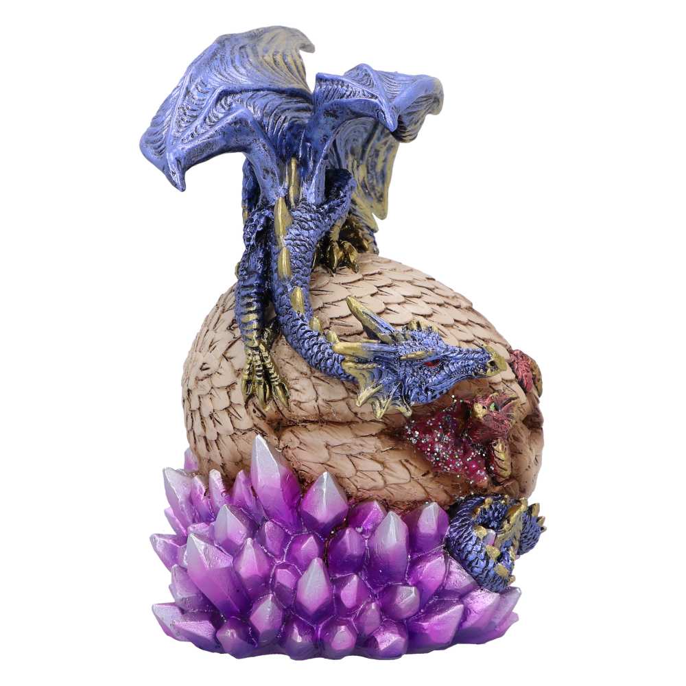 Product NM0259 image