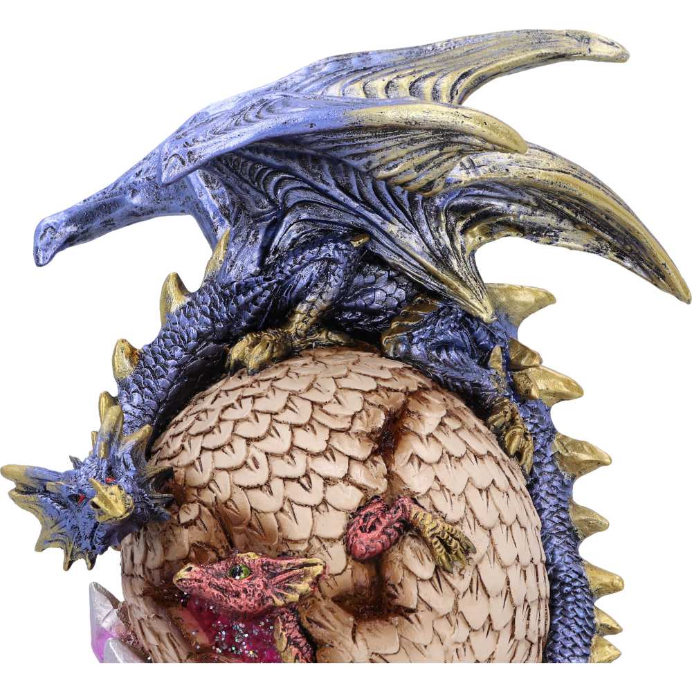 Product NM0259 image