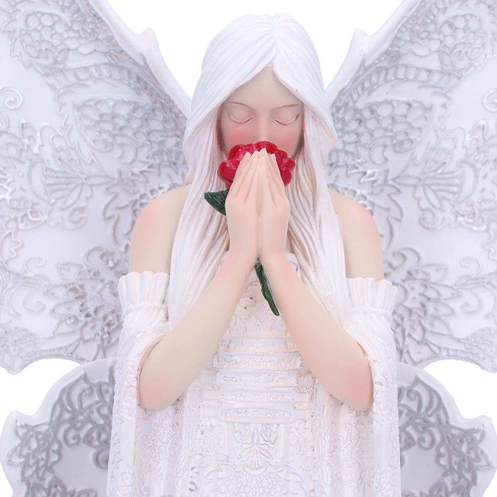 Product NM0267 image