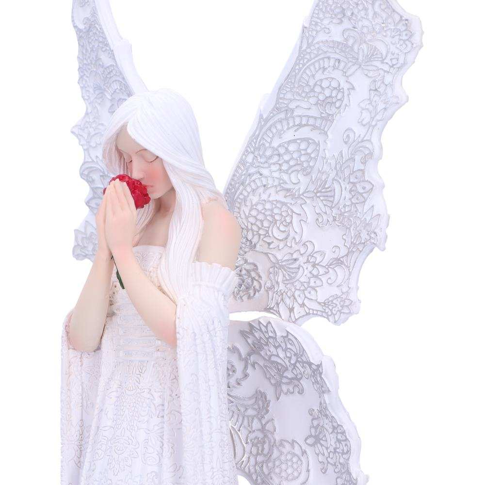 Product NM0267 image