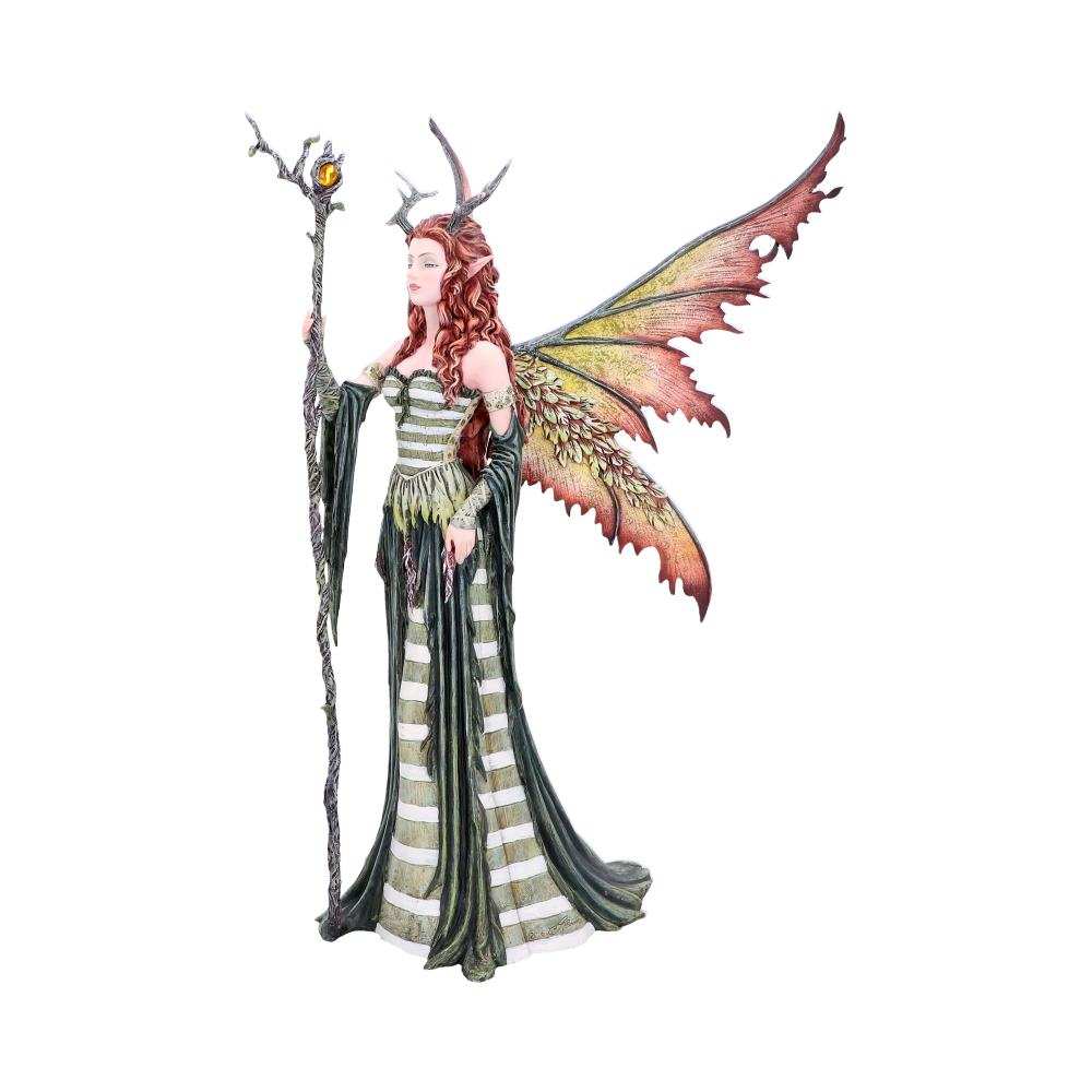 Product NM0269 image