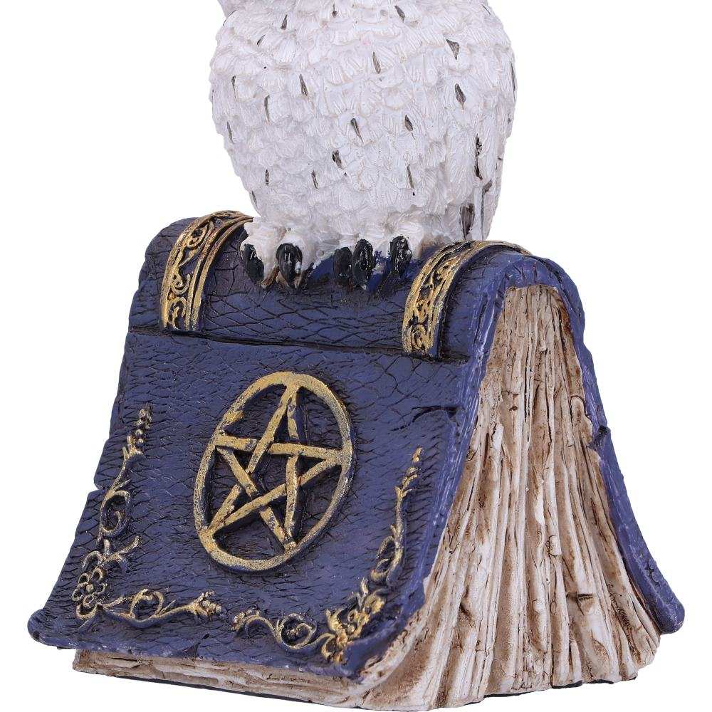 Product NM0284 image