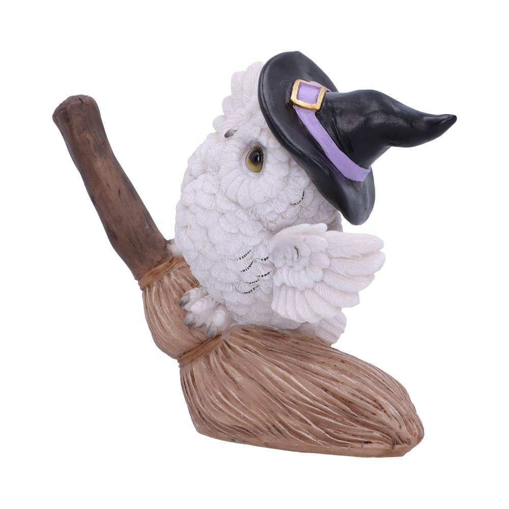 Product NM0286 image