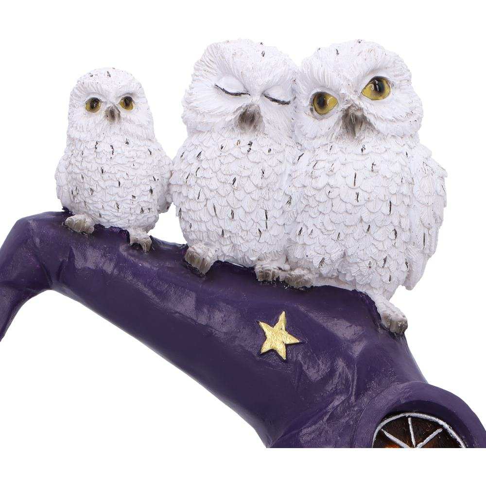 Product NM0288 image