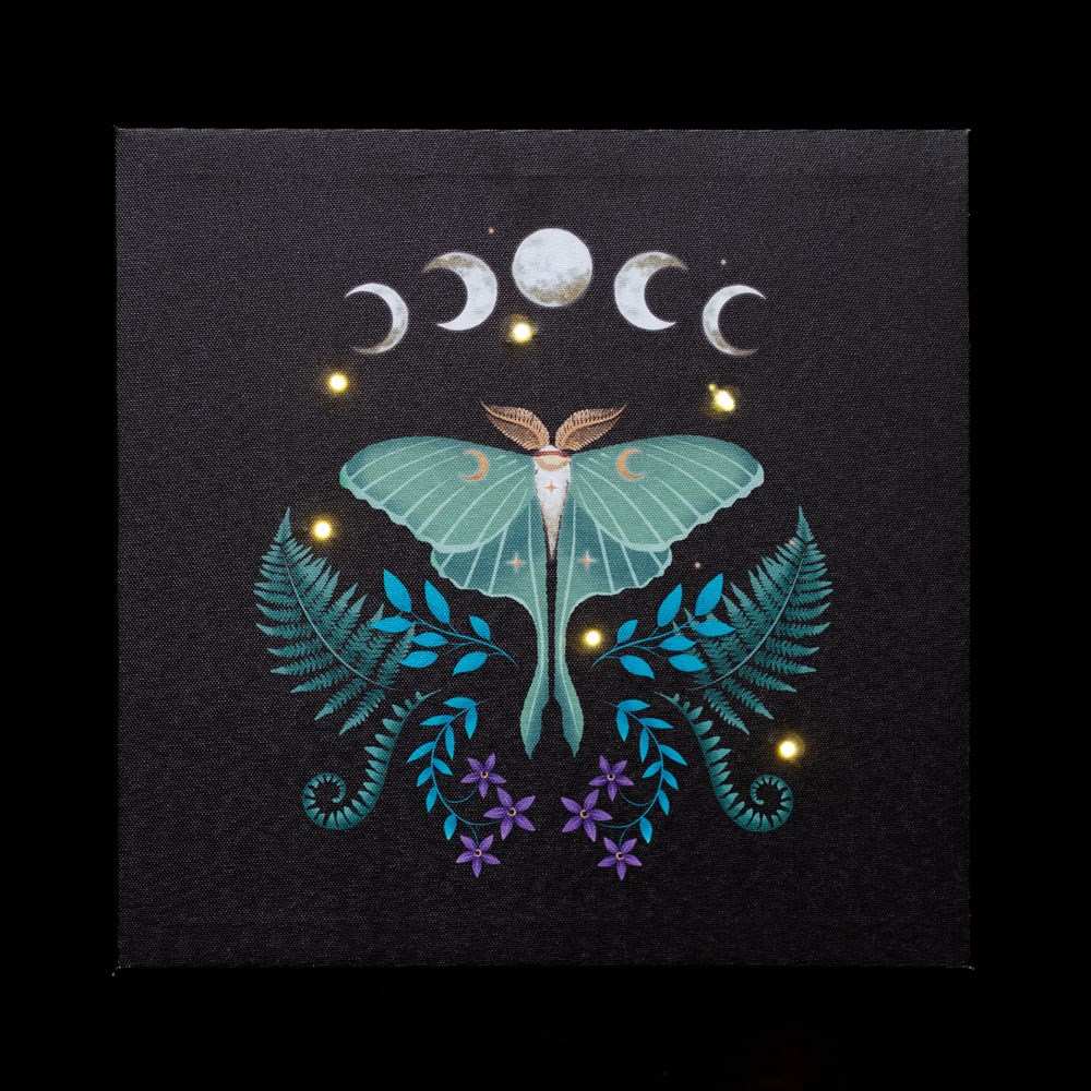 Product PA0202 image