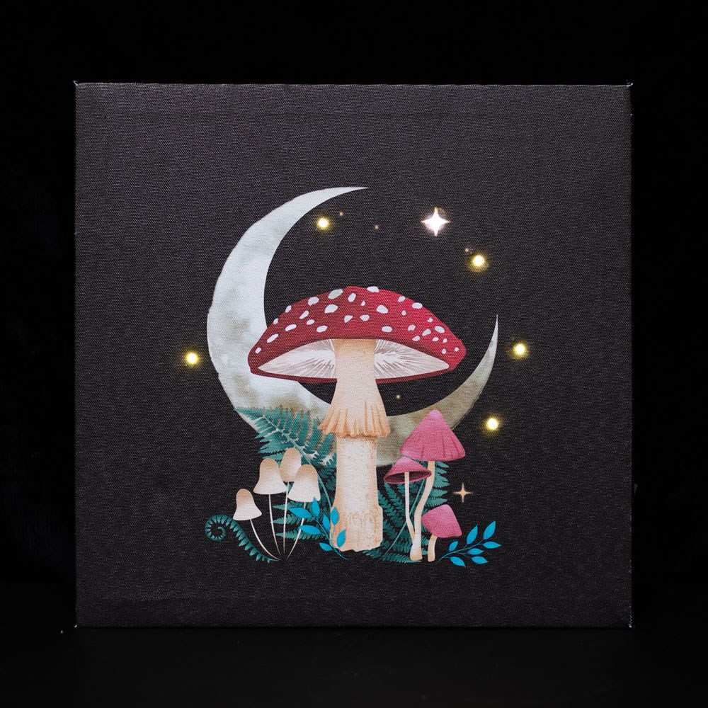 Product PA0203 image