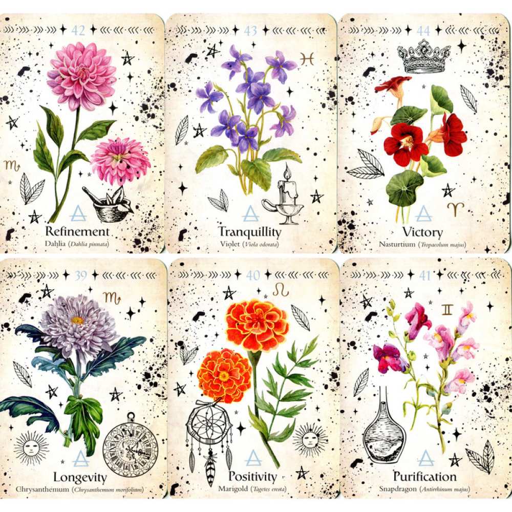 Product TA0260 image