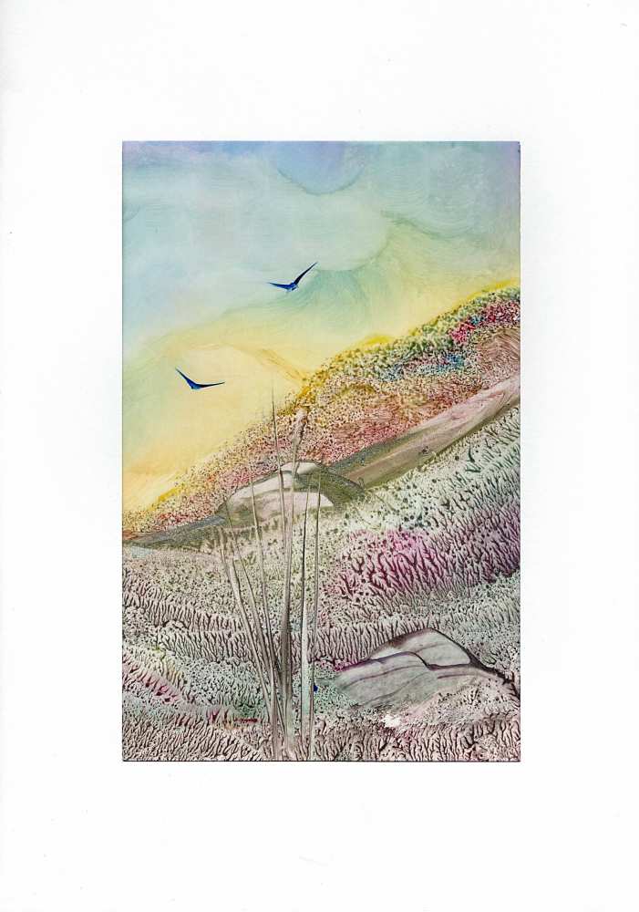 Product WG0927 image