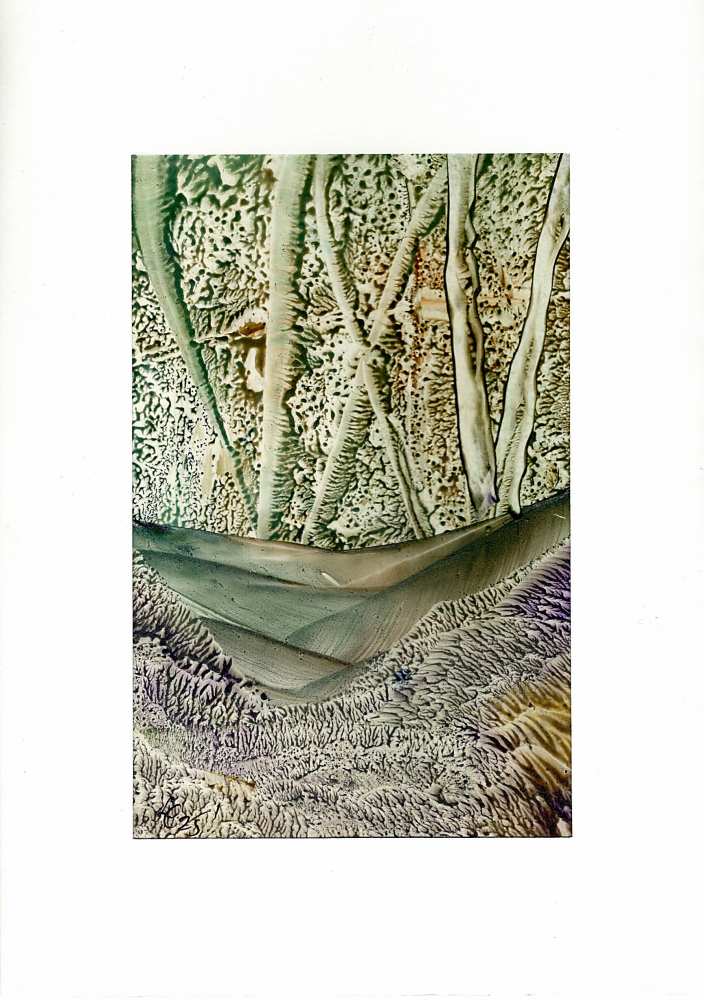 Product WG1022 image