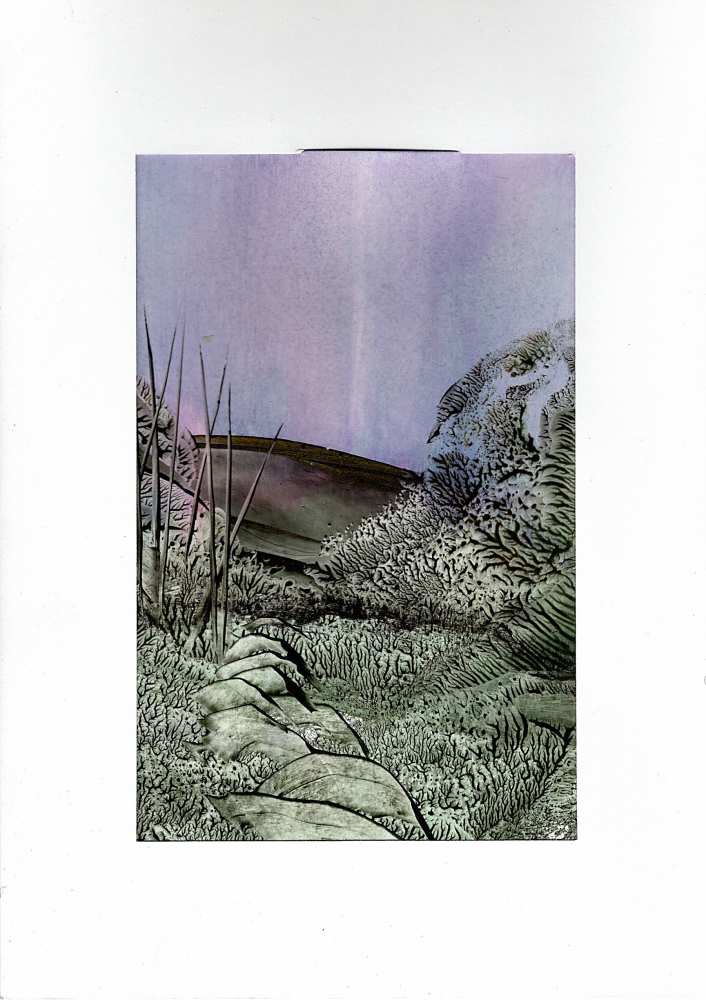 Product WG1044 image