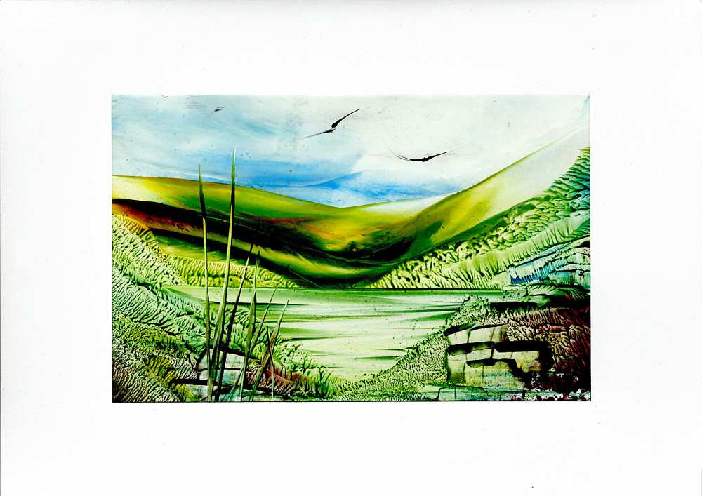 Product WG1048 image