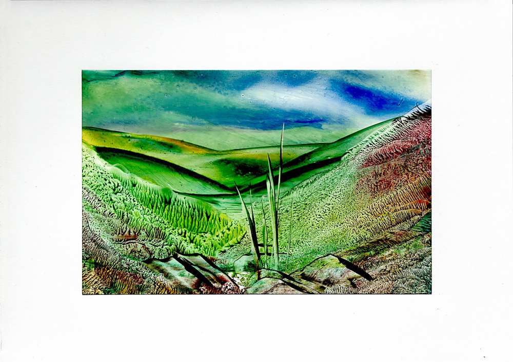 Product WG1049 image