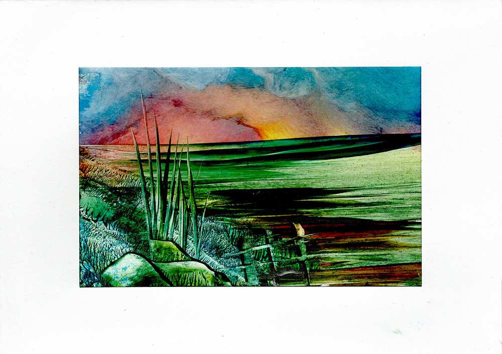 Product WG1050 image