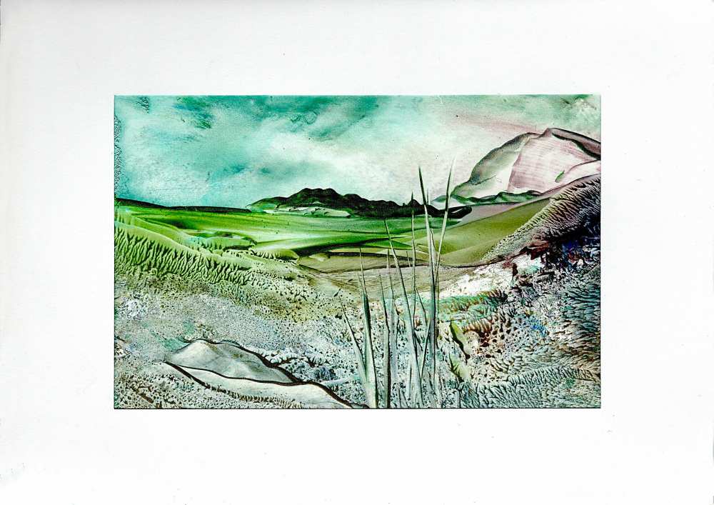 Product WG1053 image