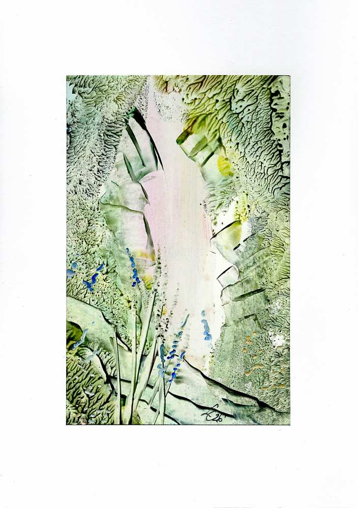 Product WG1079 image