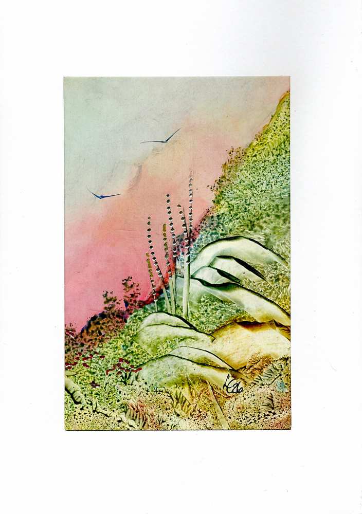 Product WG1086 image