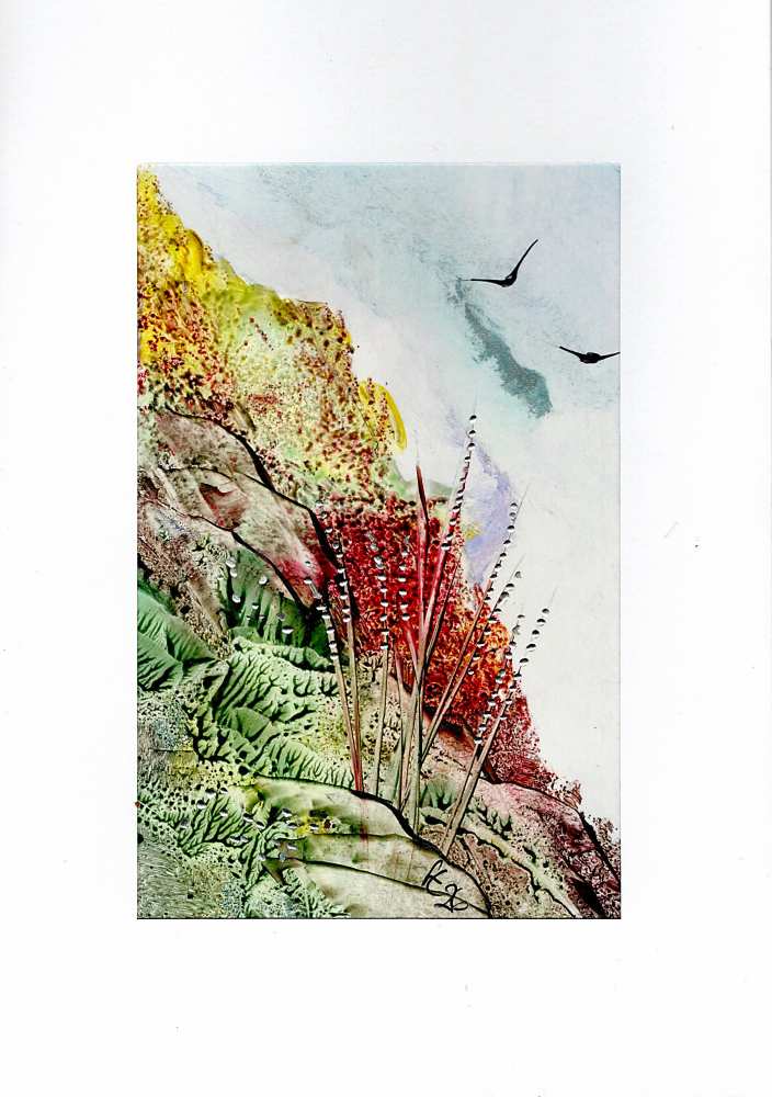 Product WG1088 image