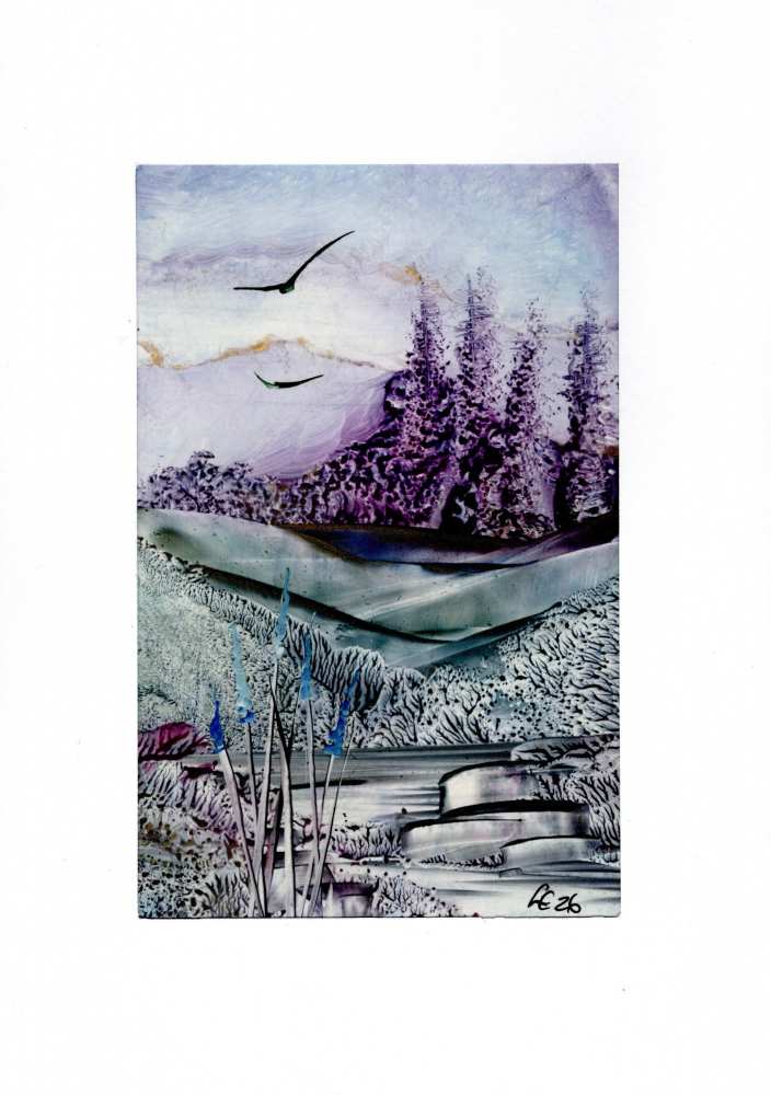 Product WG1091 image