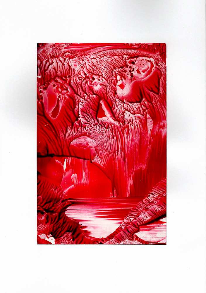 Product WG1116 image