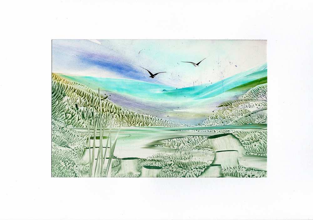 Product WG1129 image