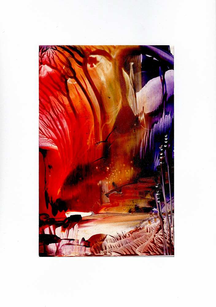 Product WG1134 image