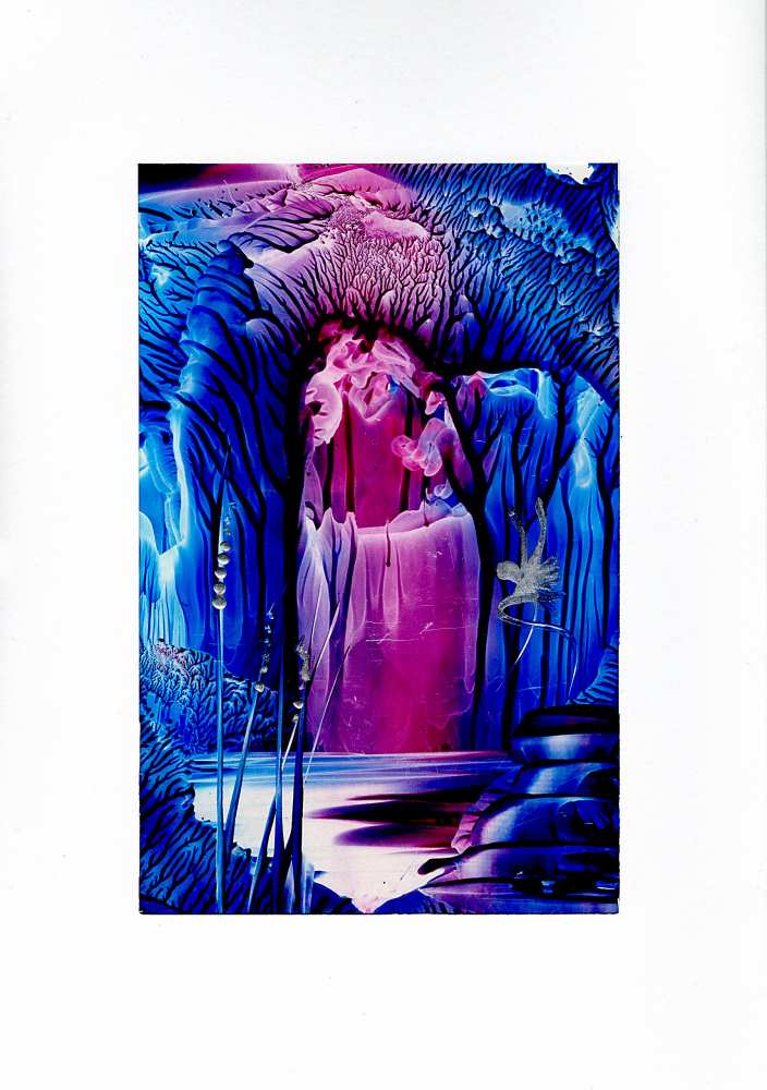 Product WG1137 image