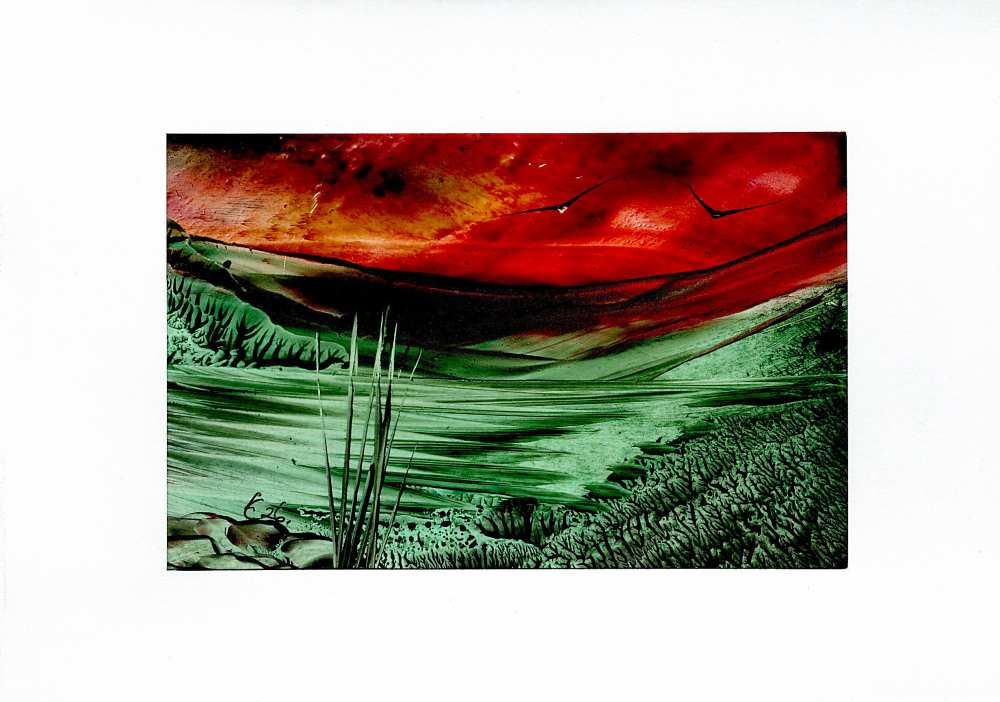 Product WG1236 image