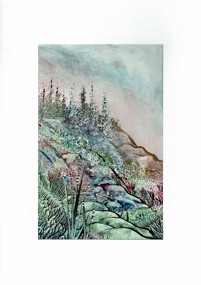Product WG1238 image